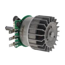 STIHL 12506000200 - Motor eléctrico máquina STIHL y VIKING