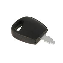 STIHL 00004308101 - Llave de contacto tractor cortacesped STIHL y VIKING