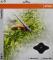 STIHL 40007133801 - Disco cortahierbas 4 dientes STIHL Ø 230 x 20mm