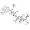 STIHL 11466403206 - Bomba de aceite motosierra STIHL