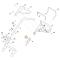 STIHL 63587007545 - Conjunto cable de tracción cortacésped STIHL