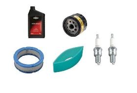 Repuestos BRIGGS STRATTON - 2 - Hermanos